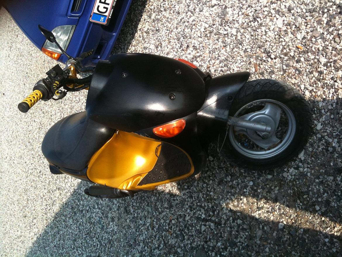 PGO rodoshow billede 7