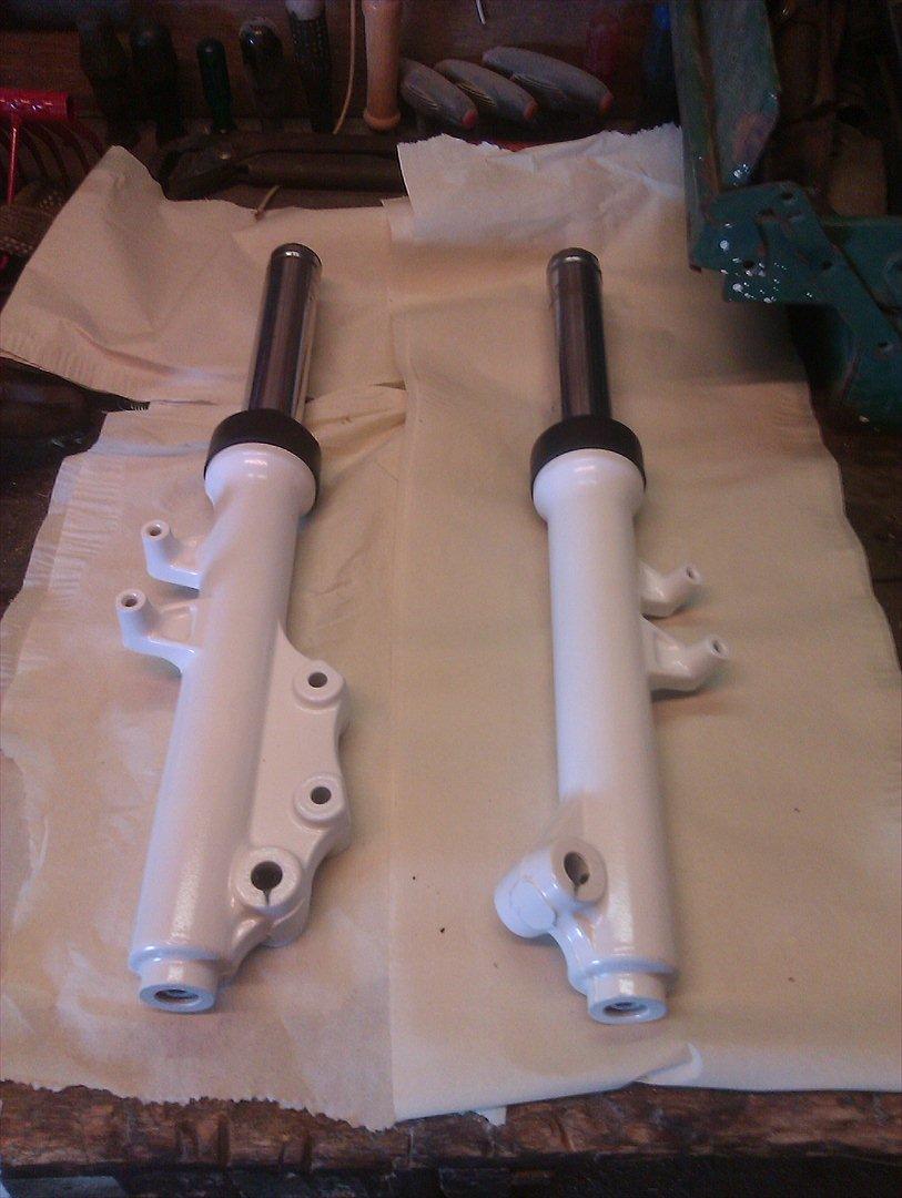 PGO hot50 PROJEKT slogt #rieju# billede 18