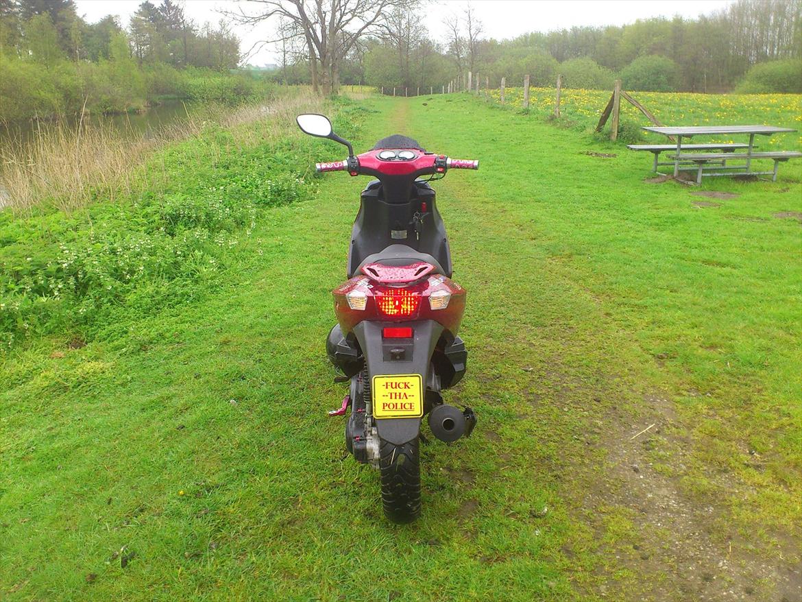 Baotian BT49QT-12P1 billede 11