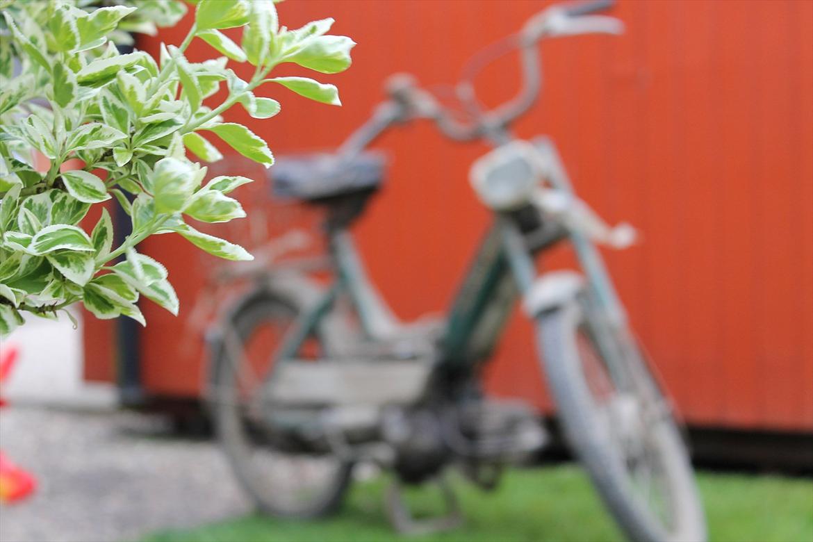 Puch Maxi K *ladefund* billede 6