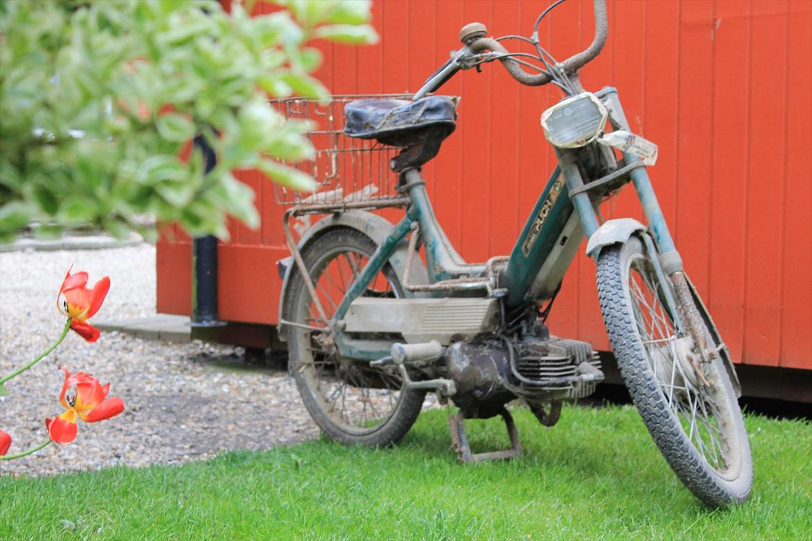 Puch Maxi K *ladefund* billede 7