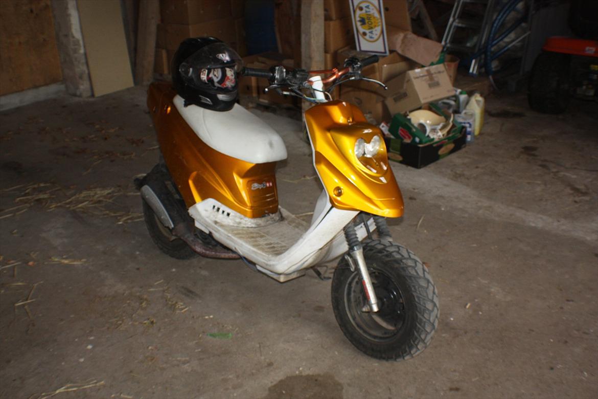 PGO Hot 'Æ vilddyr' billede 7