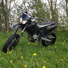 Derbi senda