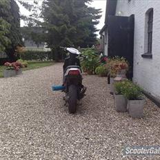 PGO hot 50 (skilt ad) (FØR)