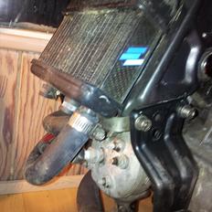 Suzuki Street magic LC (kamæleonen)