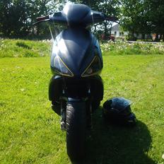 Benelli 491 ( Skrottet )