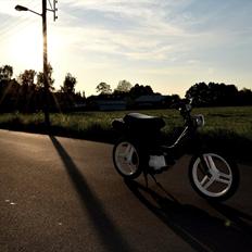 Honda Wallaroo - Kussemagneten