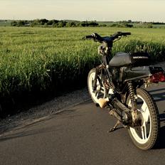 Honda Wallaroo - Kussemagneten
