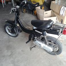 Suzuki fz50