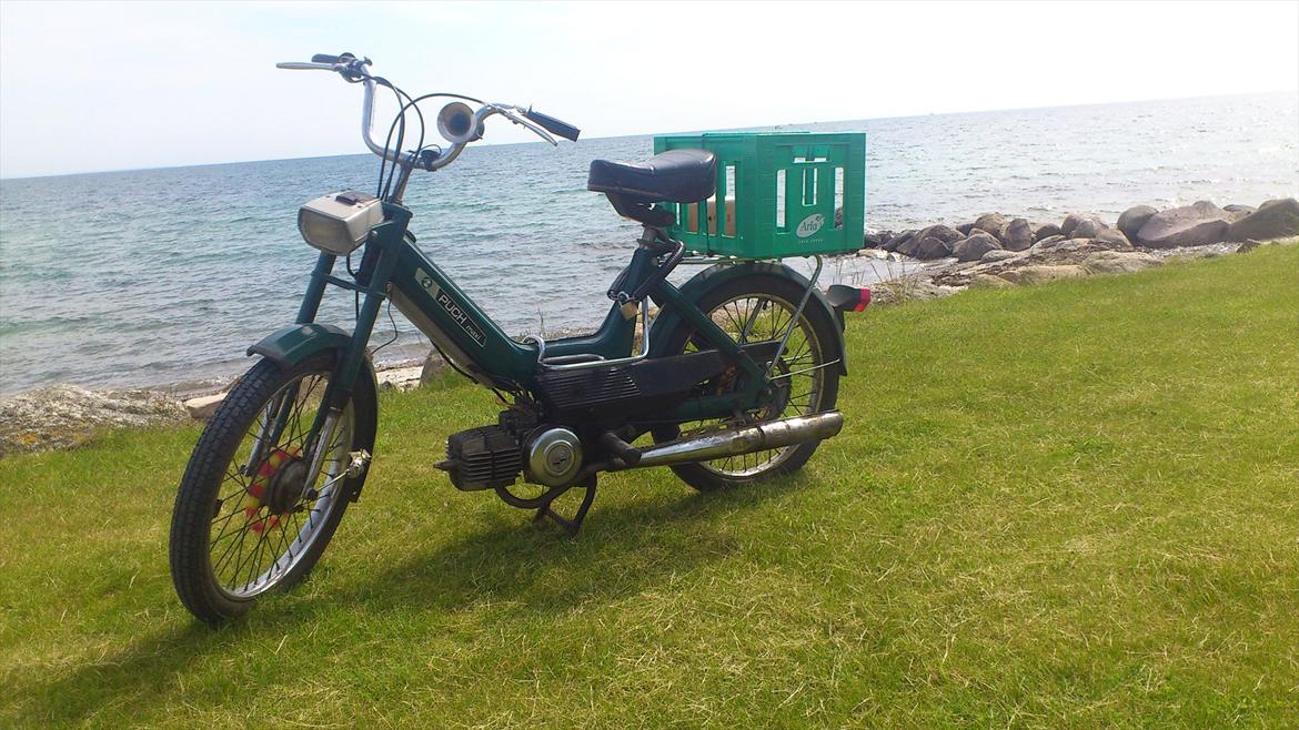 Puch Maxi K (Sally) billede 4