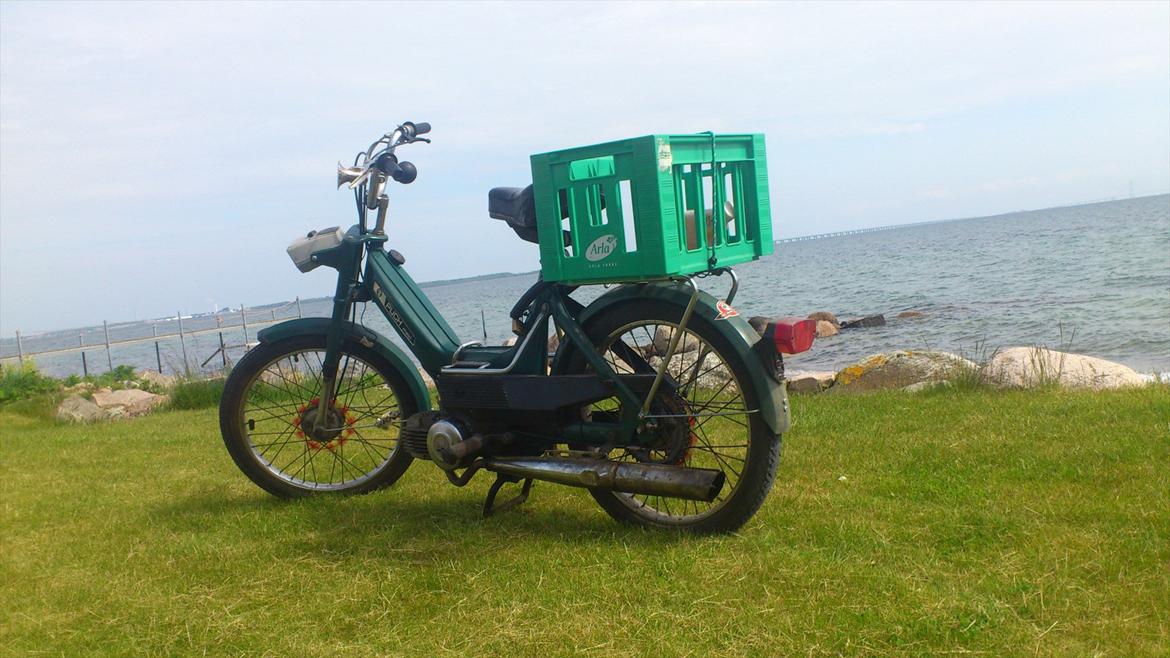 Puch Maxi K (Sally) billede 6