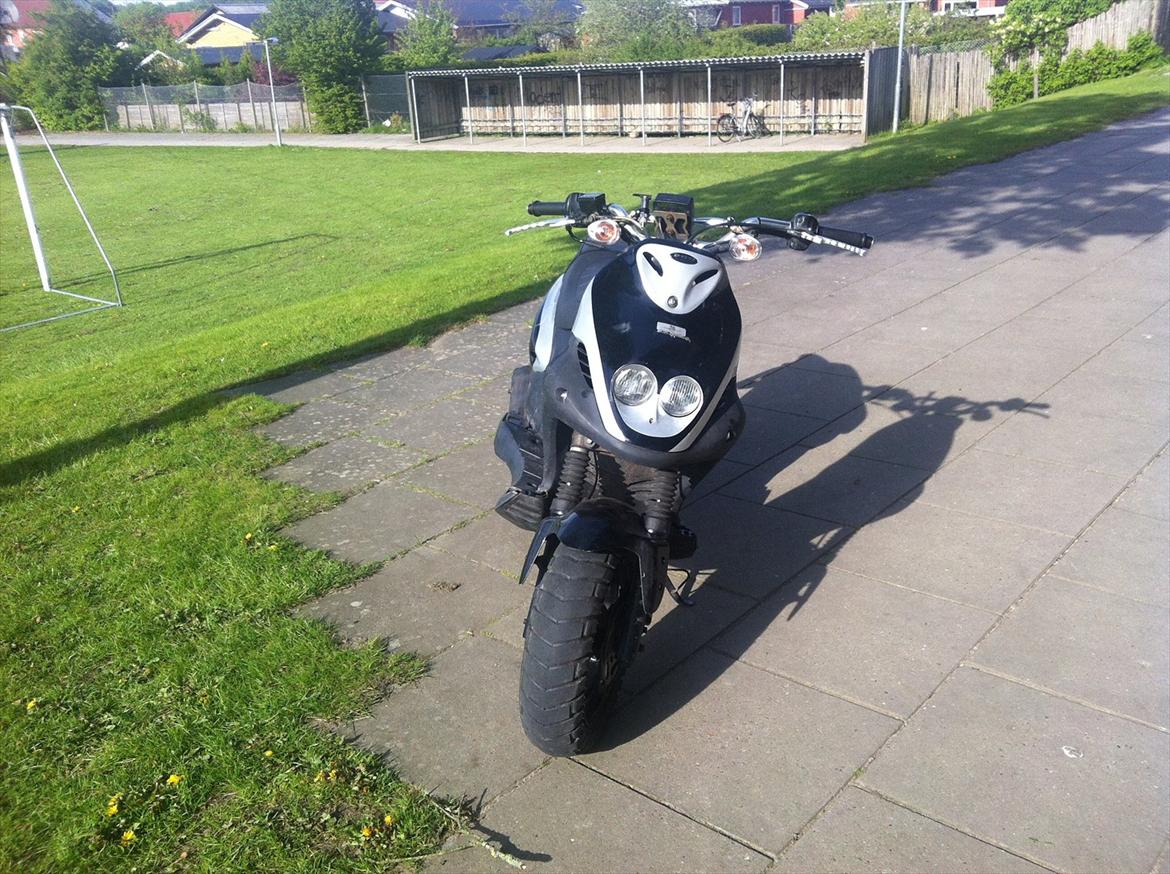 PGO Pmx Naked billede 11