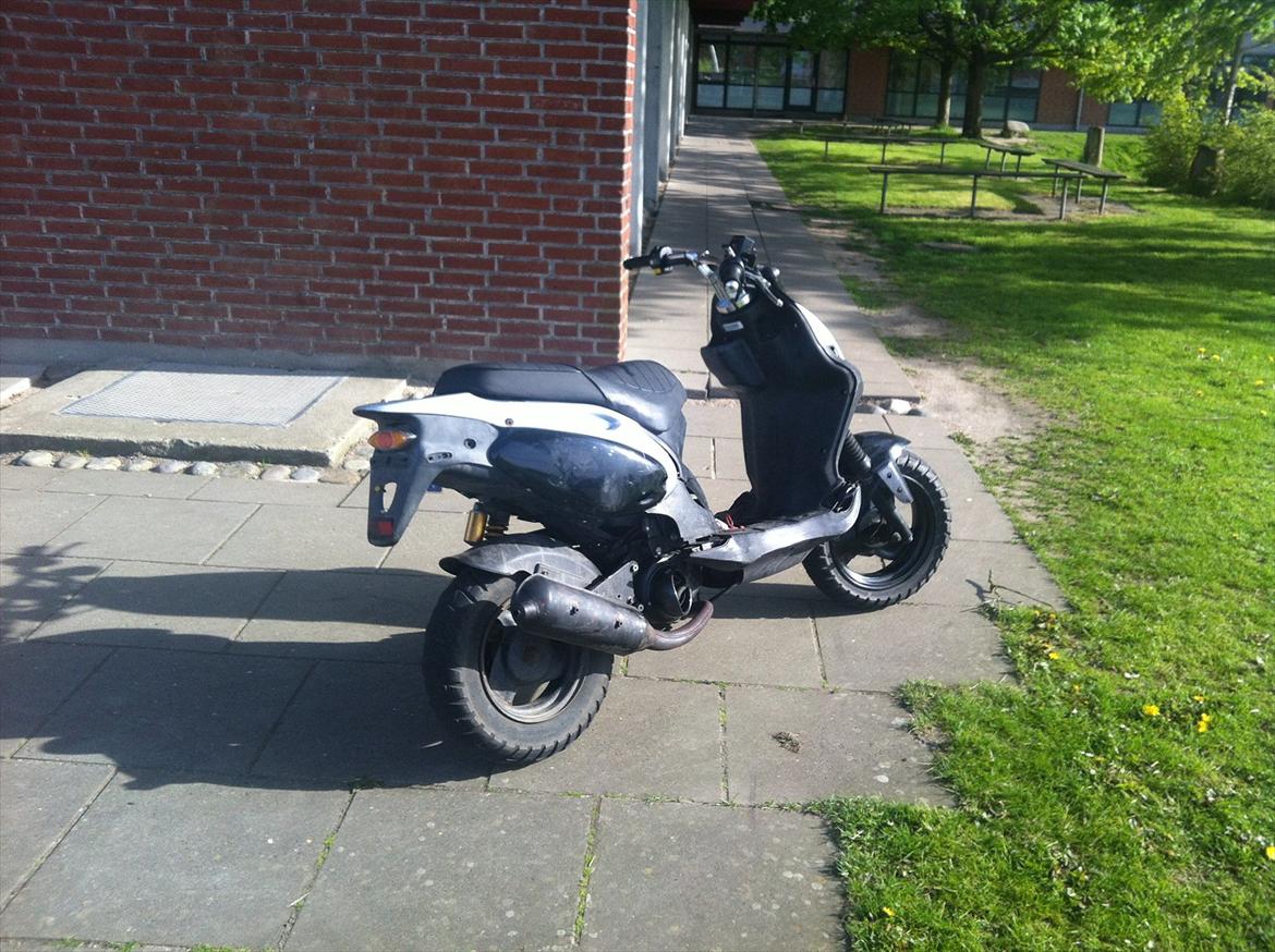 PGO Pmx Naked billede 12