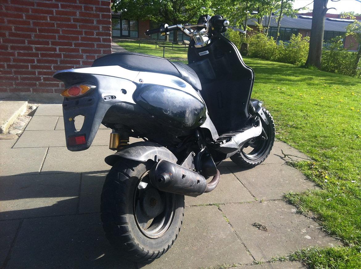 PGO Pmx Naked billede 13