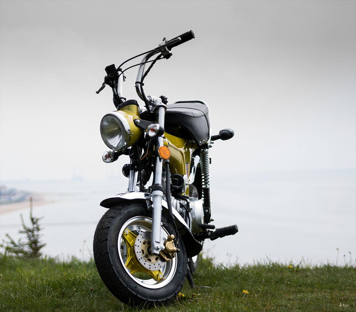 Zhenhua "Honda" Dax ZH-50 billede 8