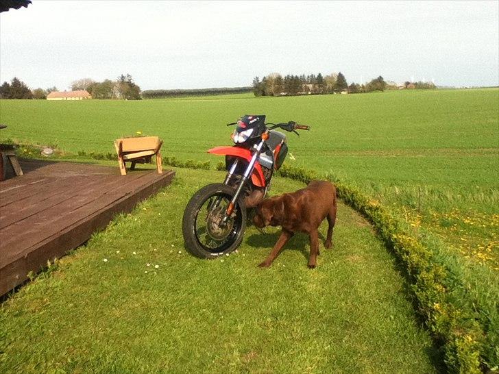 Derbi Senda Xtreme  TILSALG! billede 15