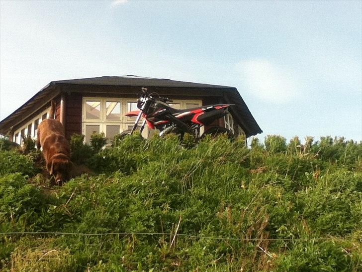 Derbi Senda Xtreme  TILSALG! billede 18