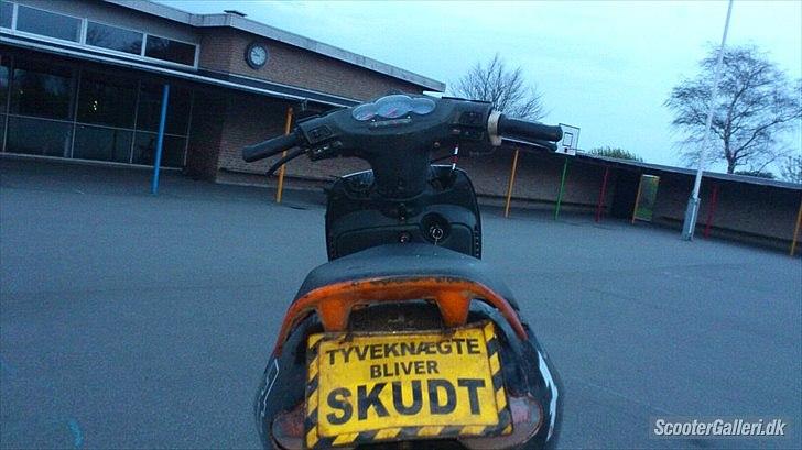 Aprilia Sonic billede 10