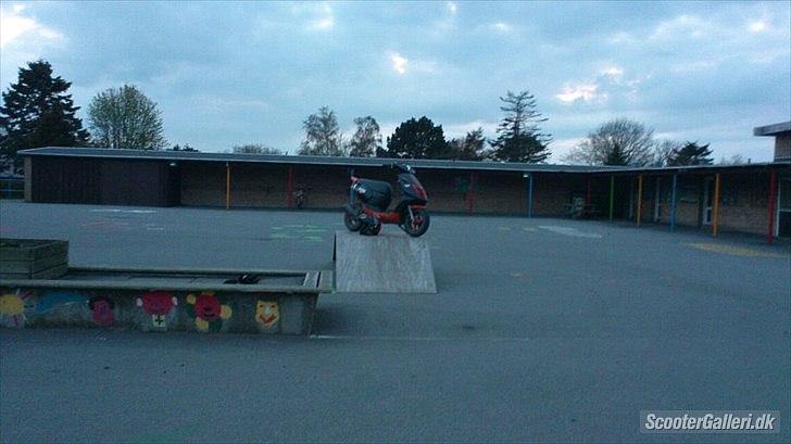 Aprilia Sonic billede 11