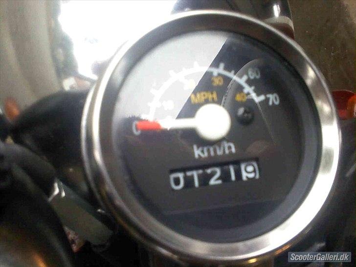 Skyteam Monkey ''Abekatten'' billede 4