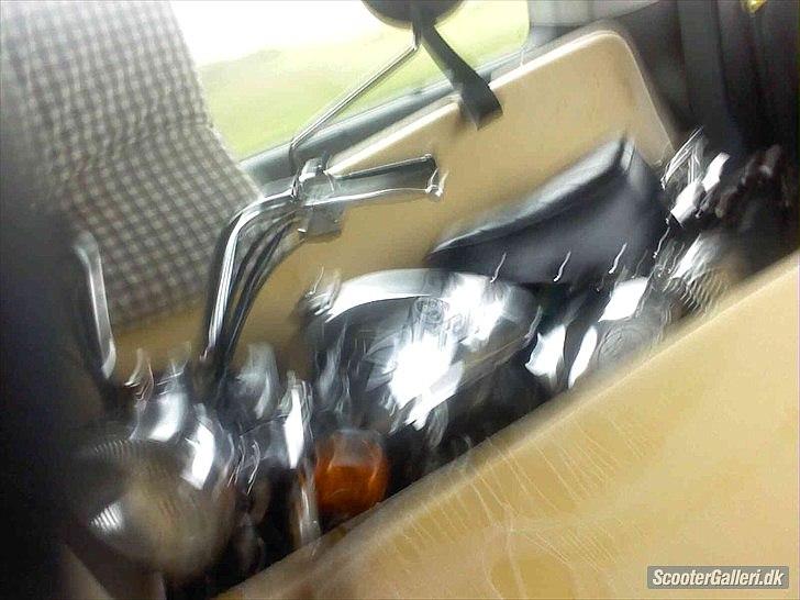 Skyteam Monkey ''Abekatten'' billede 5