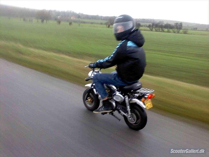 Skyteam Monkey ''Abekatten'' billede 7