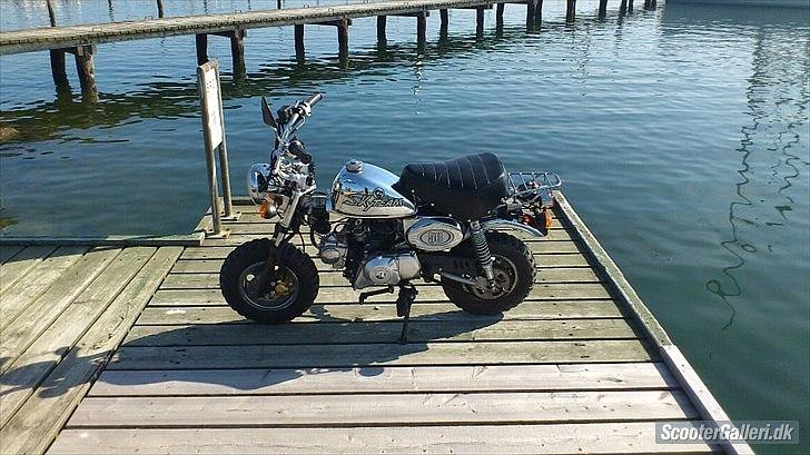 Skyteam Monkey ''Abekatten'' billede 2