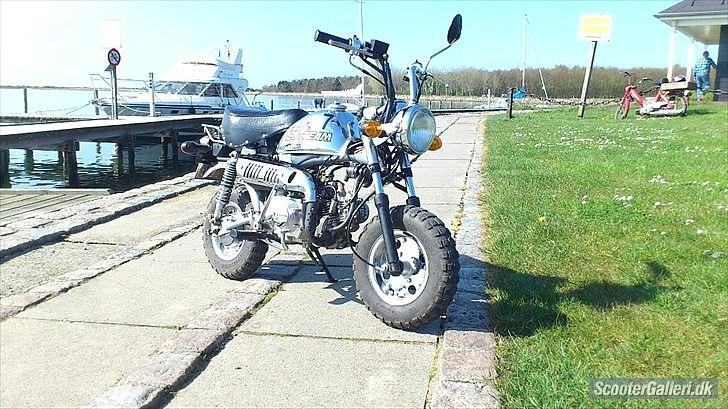 Skyteam Monkey ''Abekatten'' billede 11