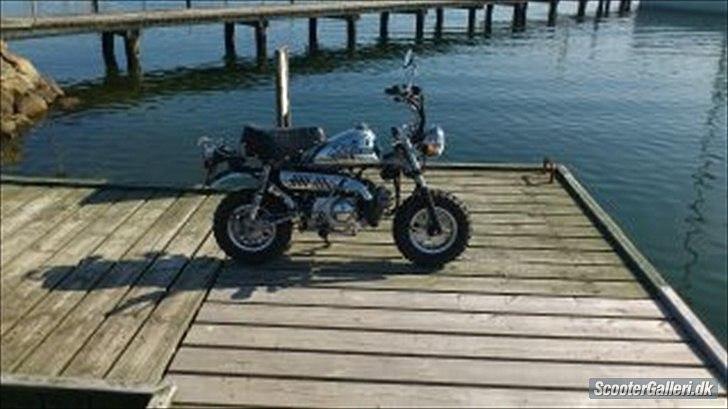 Skyteam Monkey ''Abekatten'' billede 12