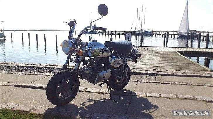 Skyteam Monkey ''Abekatten'' billede 13