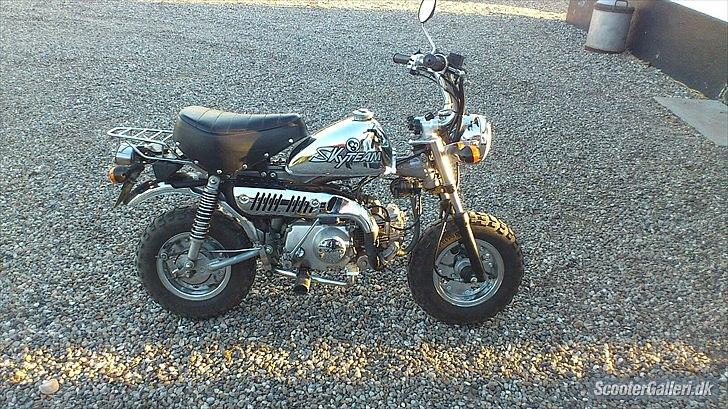 Skyteam Monkey ''Abekatten'' billede 1