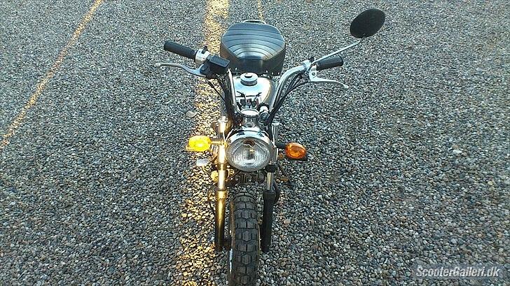 Skyteam Monkey ''Abekatten'' billede 16