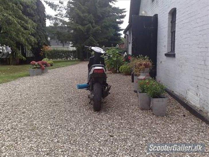 PGO hot 50 (skilt ad) (FØR) billede 1