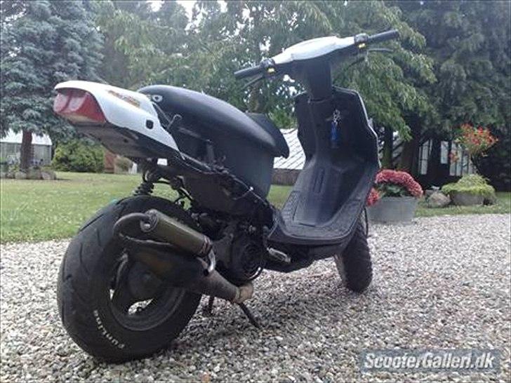 PGO hot 50 (skilt ad) (FØR) billede 3