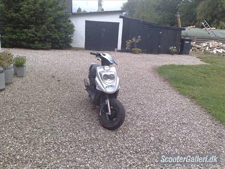 PGO hot 50 (skilt ad) (FØR) billede 6