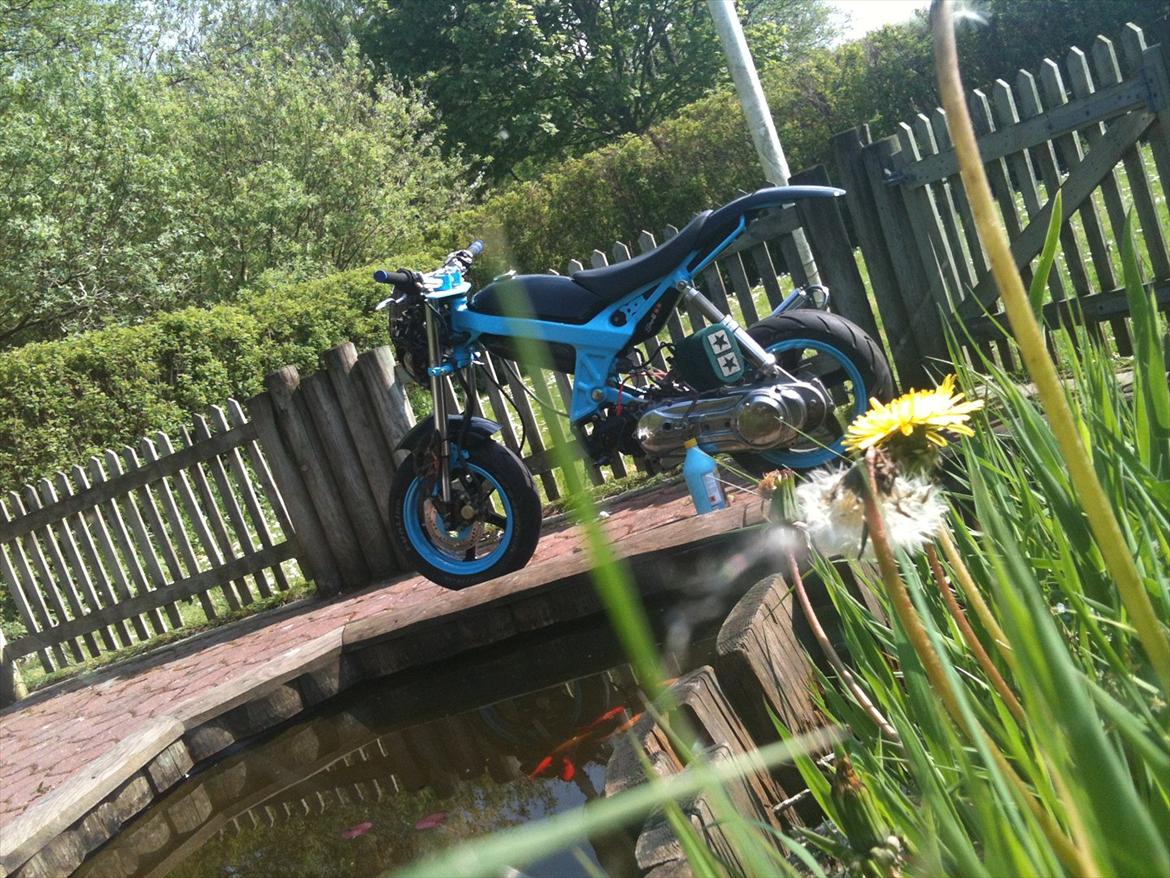 Suzuki Street Magic - Dammen i haven! :-D billede 7