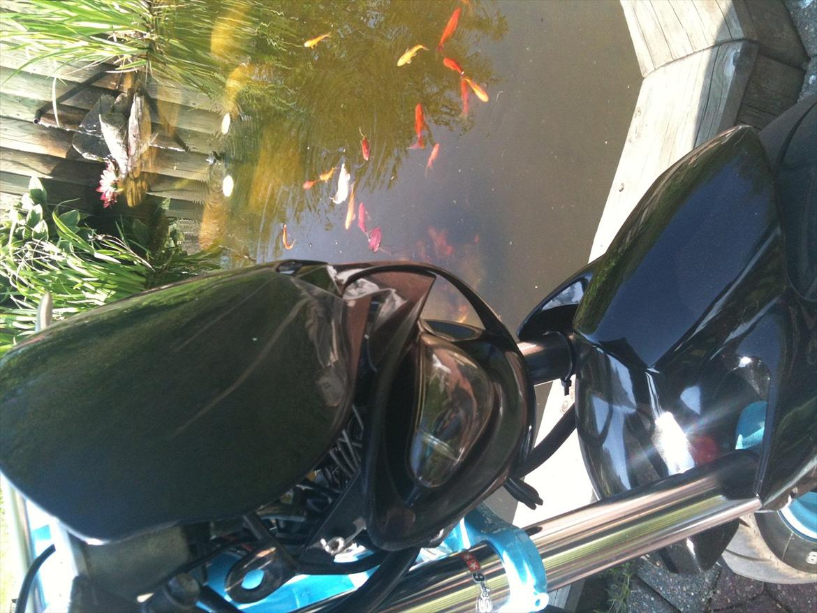 Suzuki Street Magic billede 9