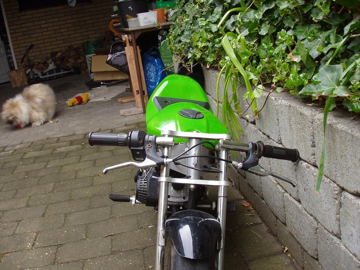 MiniBike pocket bike billede 3