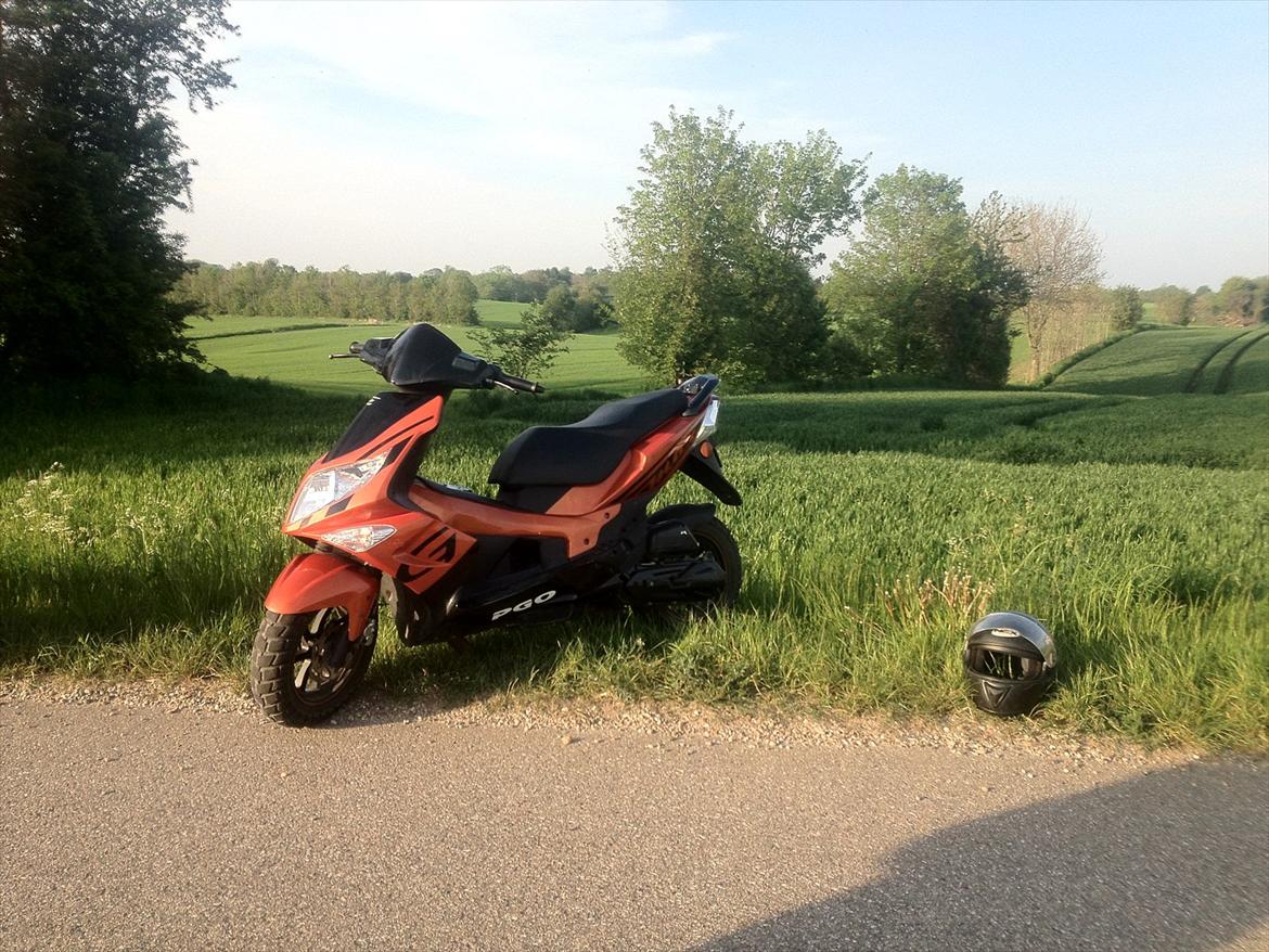 PGO G-max TILSALG billede 1