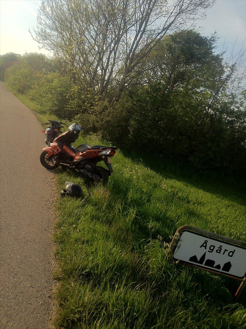 PGO G-max TILSALG billede 2