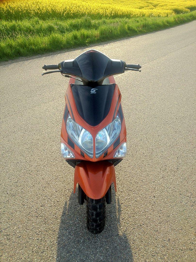 PGO G-max TILSALG billede 10