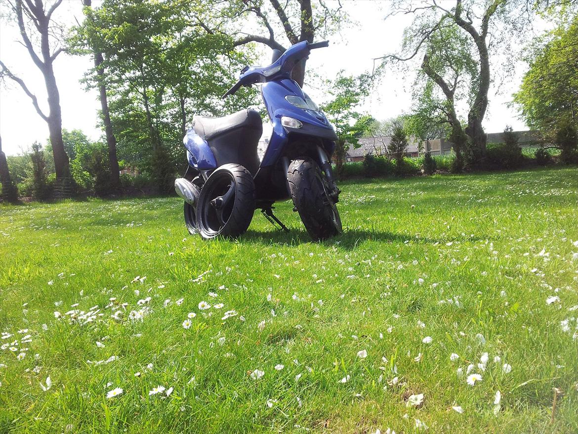 Gilera Stalker billede 6