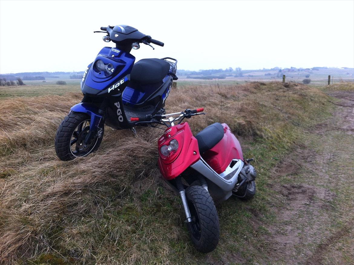 PGO Hot 50 SP billede 8