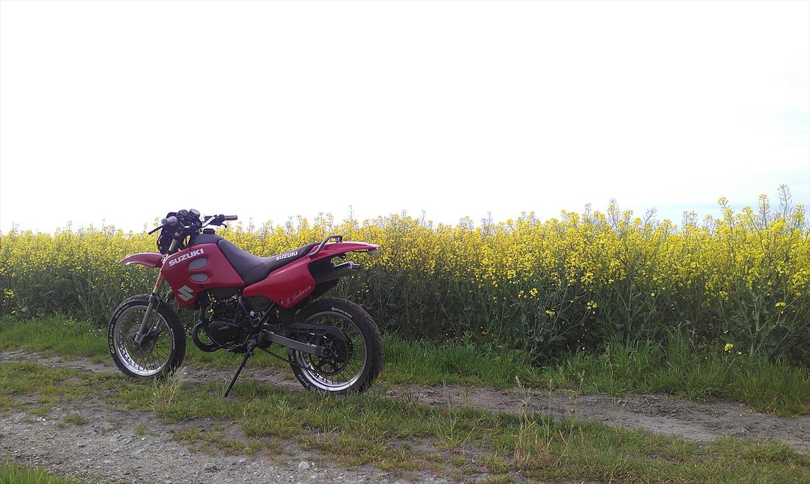 Suzuki Smx Super motard billede 9