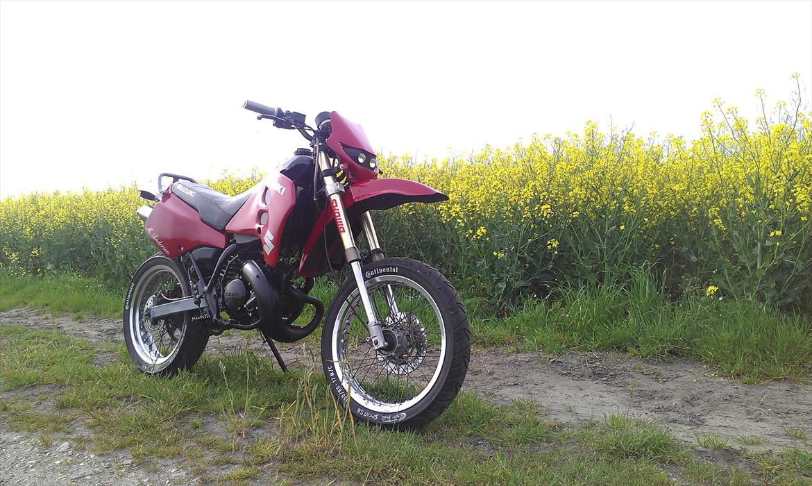 Suzuki Smx Super motard billede 11