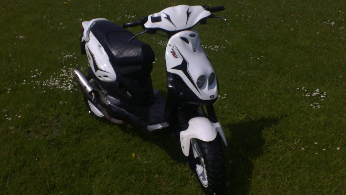 PGO pmx sport billede 1