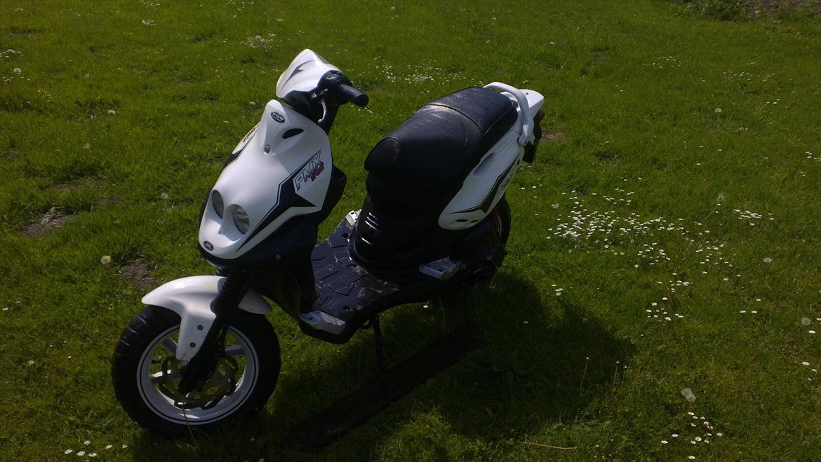 PGO pmx sport billede 2