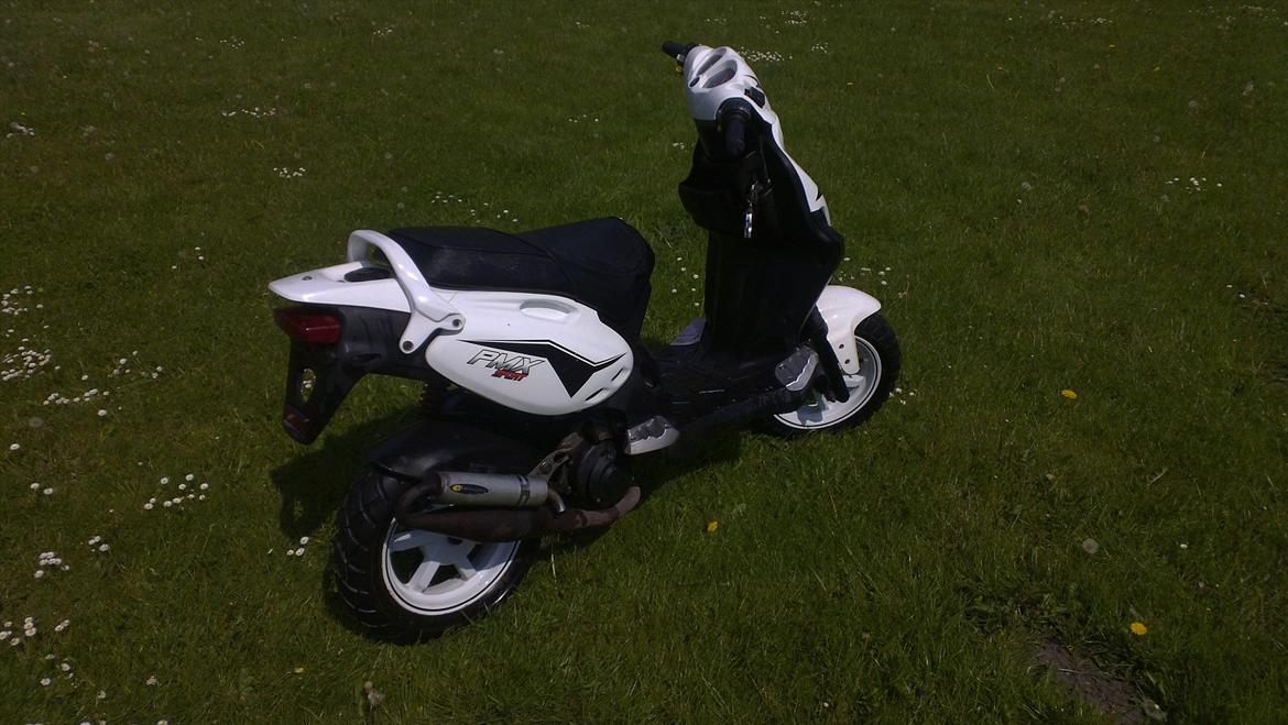 PGO pmx sport billede 4