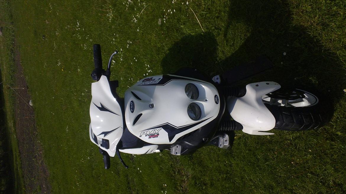 PGO pmx sport billede 5