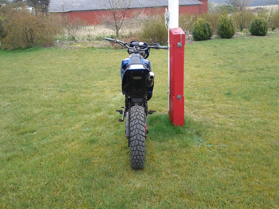 Suzuki SMX billede 3